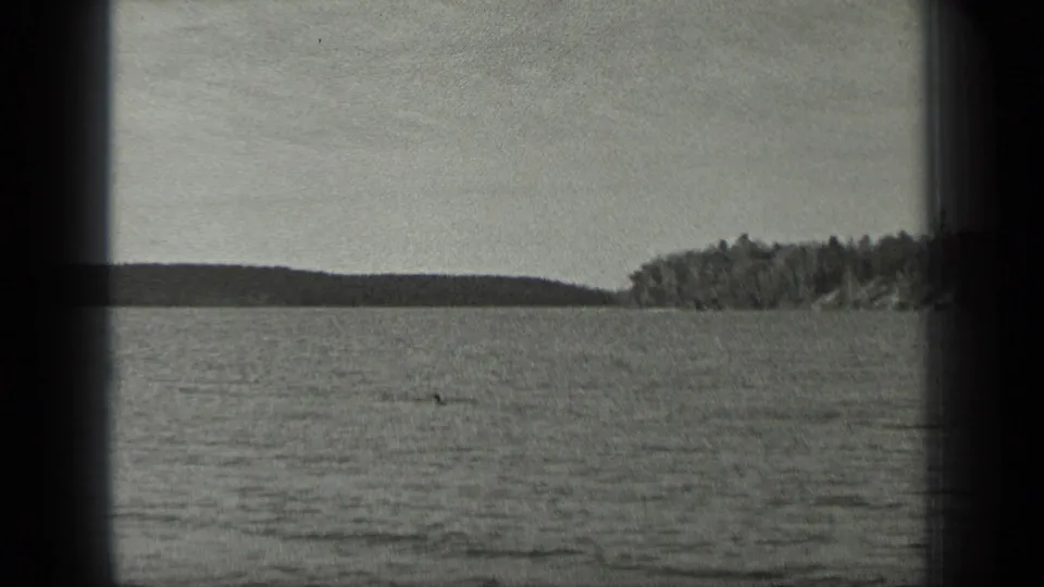 Wide black-and-white view across Long Lake, Canada, with calm water and tree-lined shore in the distance.