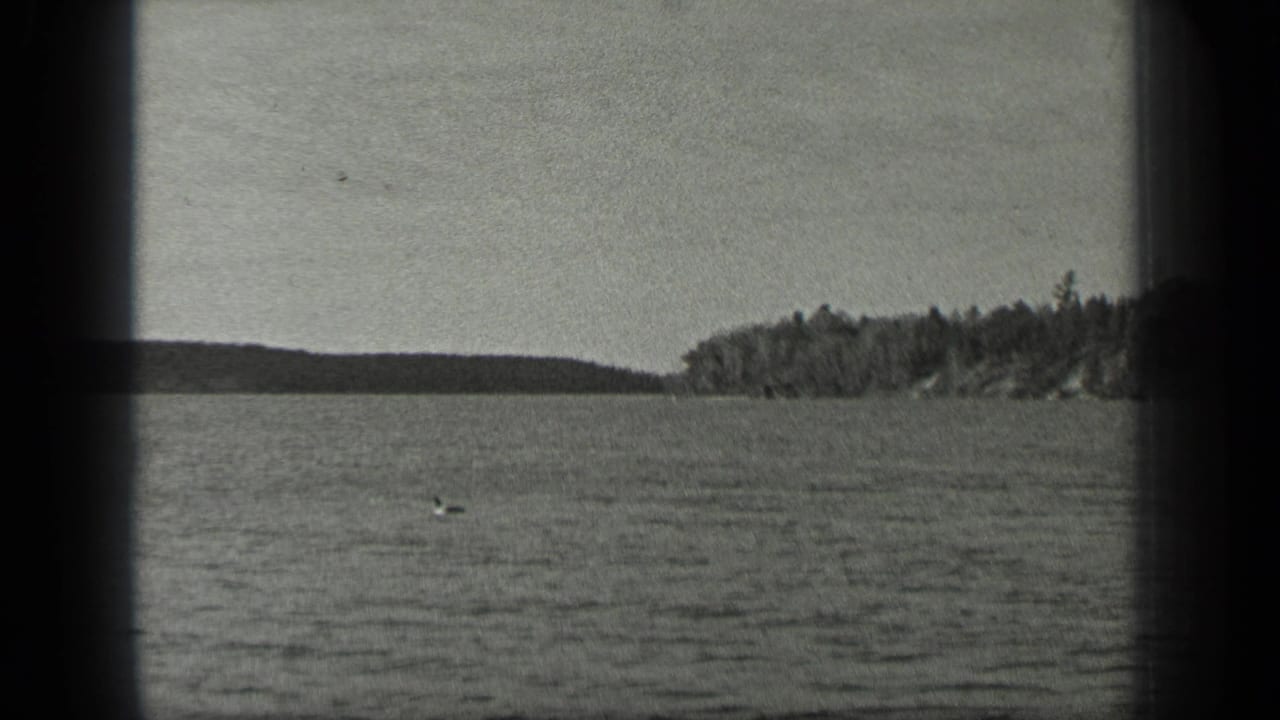 Rippled lake with distant wooded shore and pale sky, framed by dark film edges.