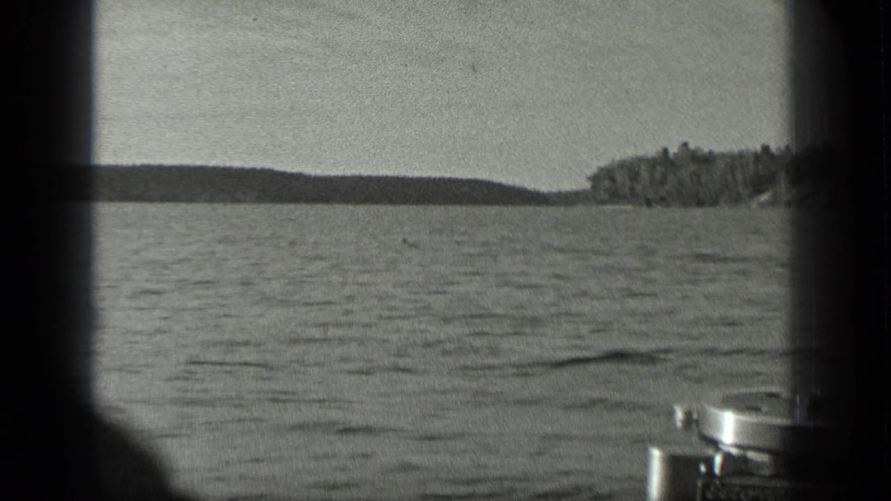 Rippling lake water seen from a boat with a low wooded shoreline in the distance.