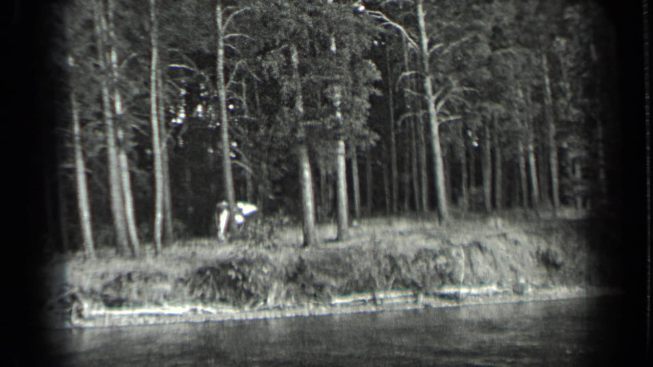 Forested shoreline with tall trees and a small light-toned figure or craft near the bank.