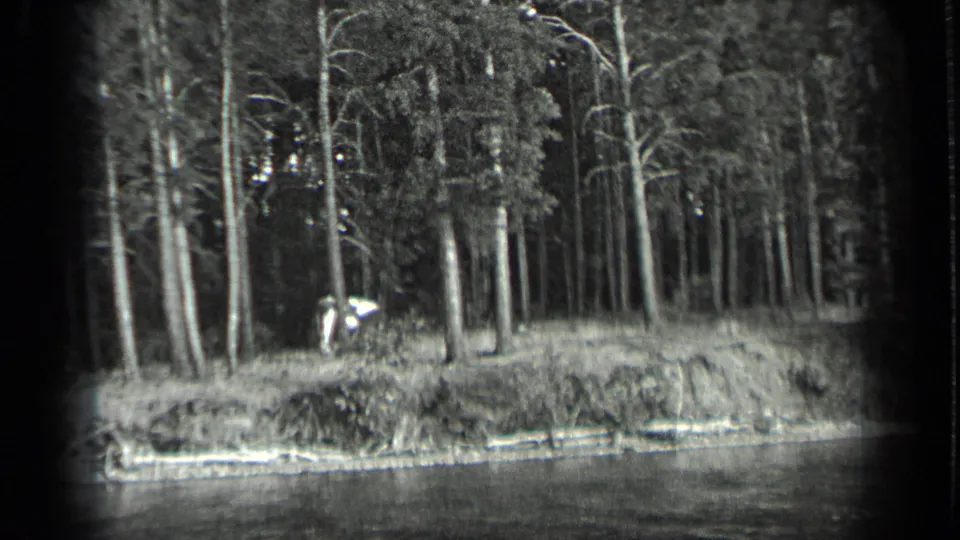 Long Lake shoreline in 1939 with tall trees, low bank, water in foreground, and a distant person or small craft near the trees.