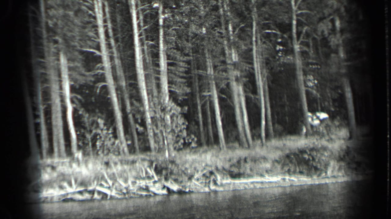 Black-and-white view of a wooded lakeshore with tall trees and water in the foreground.