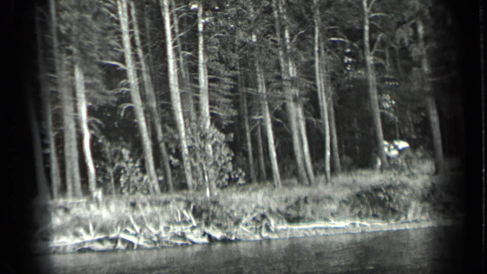 1939 8mm frame from Long Lake, Canada, showing calm water, a grassy bank, fallen branches, and dense forest beyond.