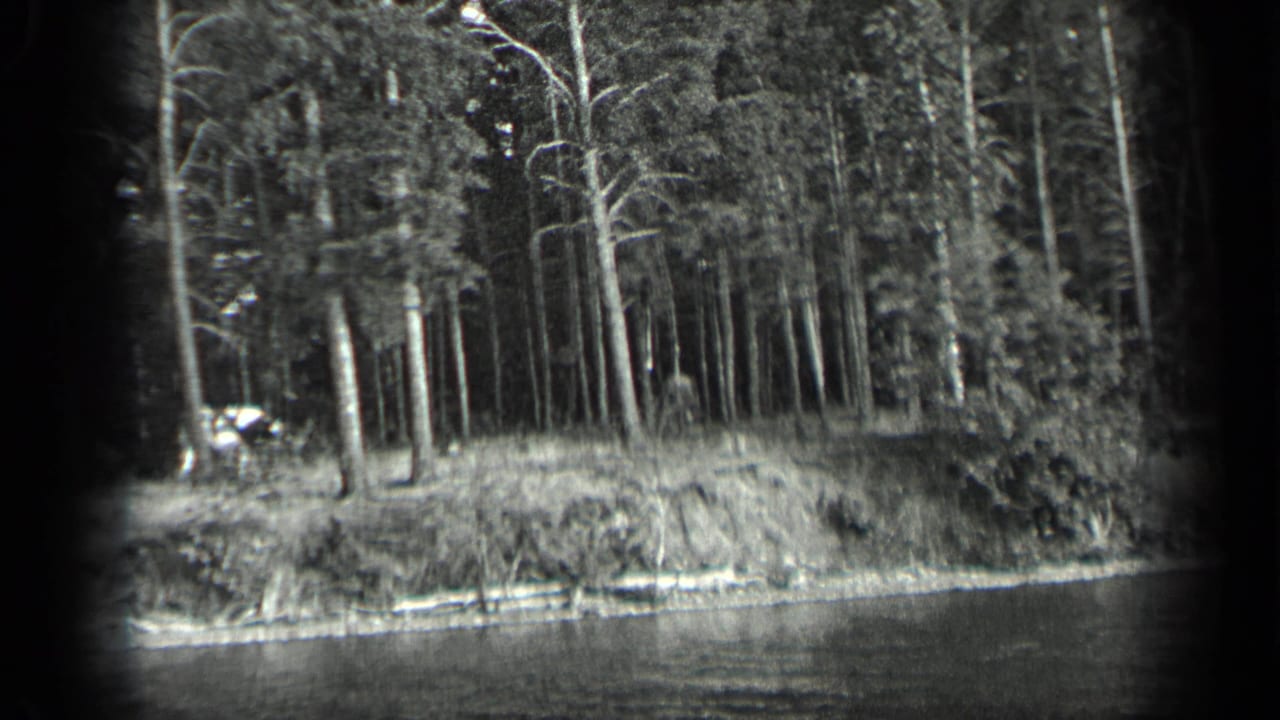 Long Lake, Canada shoreline frame showing a dense stand of trees above the water during a slow 1939 8mm pan.