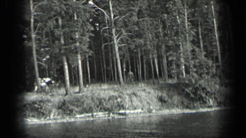 Long Lake, Canada shoreline frame showing a dense stand of trees above the water during a slow 1939 8mm pan.