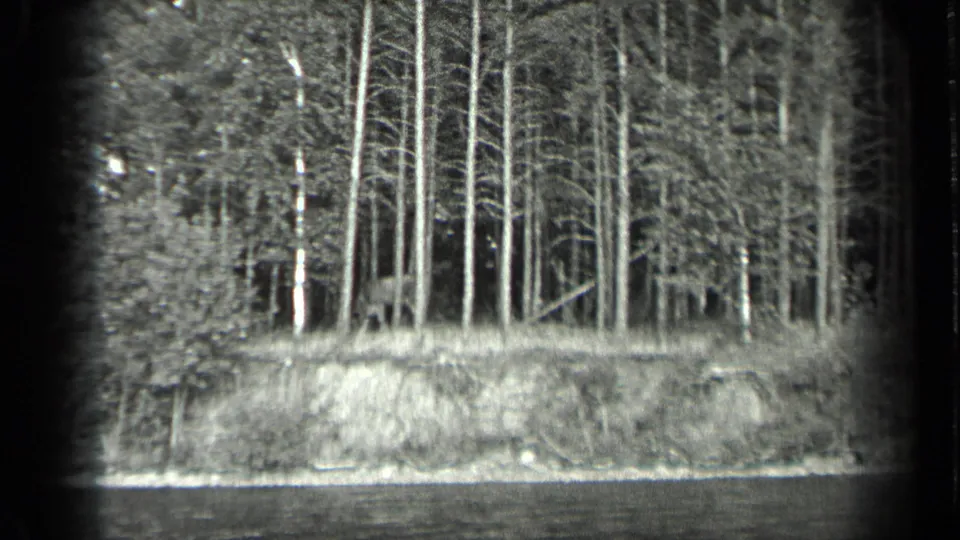 Final Long Lake, Canada frame showing the far bank, tall pale trunks, dark understory, and water in the foreground.