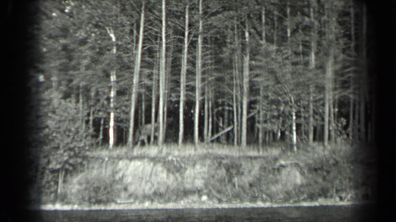 Black-and-white view of tall trees along a lake bank, seen across calm water.