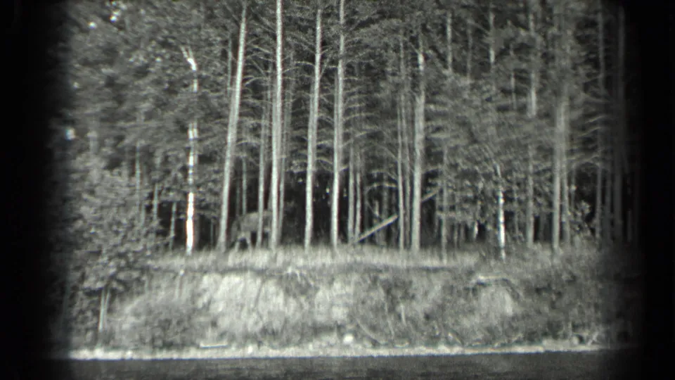 1939 Long Lake, Canada 8mm frame showing a wooded shoreline with tall straight trees above a grassy bank and water in the foreground.