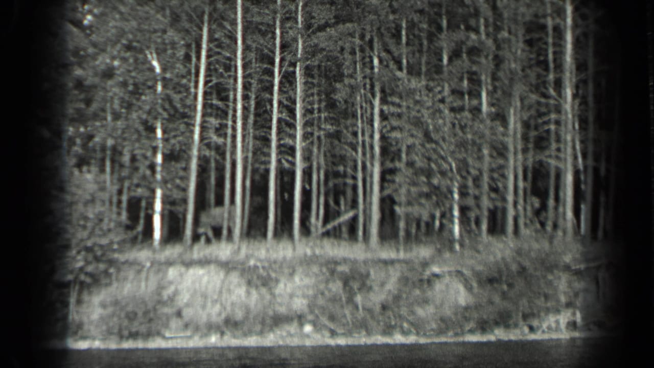 1939 Long Lake, Canada frame with slender shoreline trees and a low grassy bank viewed across the lake in soft 8mm monochrome.
