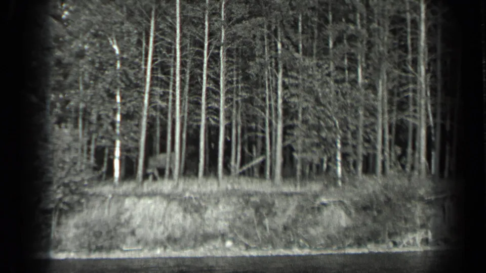 1939 Long Lake, Canada frame with slender shoreline trees and a low grassy bank viewed across the lake in soft 8mm monochrome.