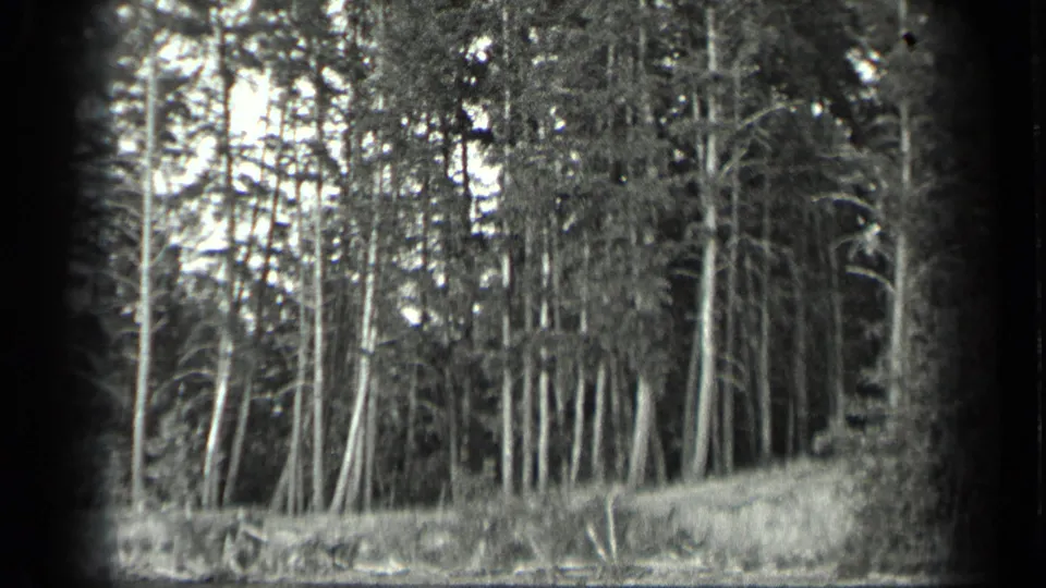 1939 Long Lake, Canada 8mm frame showing dense trees along the water, with visible film grain and dark rounded frame edges.