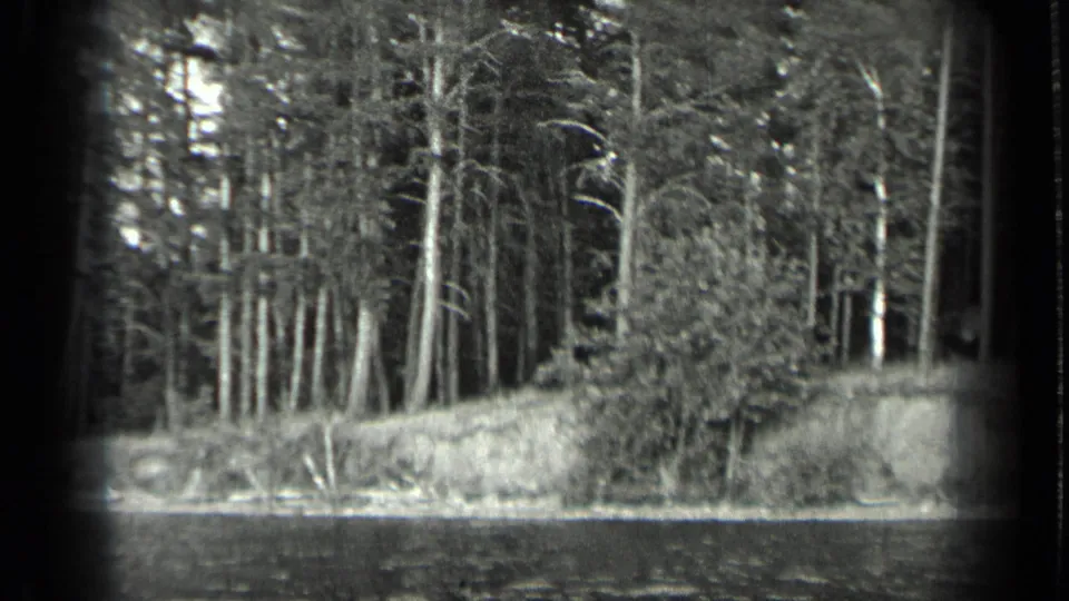 1939 Long Lake, Canada frame showing a wooded bank with brush, straight trunks, and lake water in the foreground.