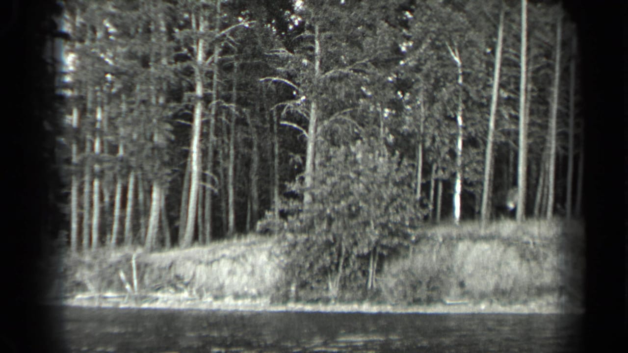 1939 Long Lake, Canada home-movie frame showing calm water, a forested bank, and tall trees along the shoreline.