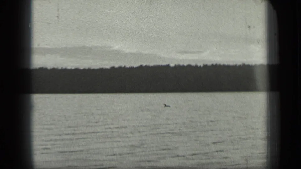 1939 8mm view of Long Lake, Canada, showing calm water, a distant wooded shoreline, and a small loon near mid-frame.