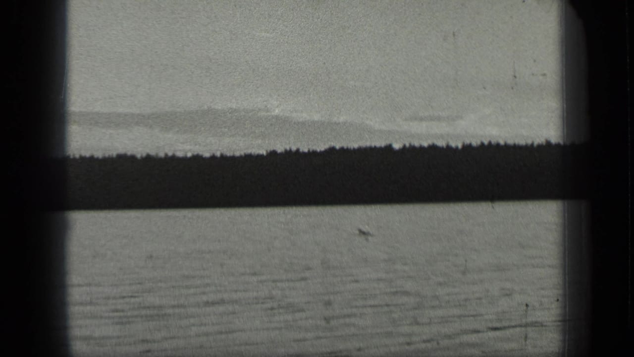 Wide 1939 Long Lake view with flat water, dark tree-lined shore, pale sky, and a small loon visible on the lake.
