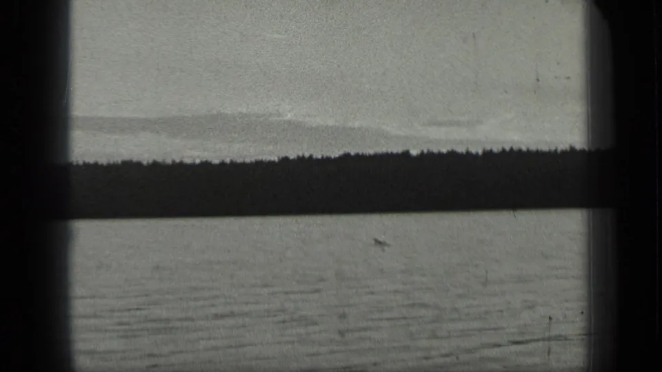 Wide 1939 Long Lake view with flat water, dark tree-lined shore, pale sky, and a small loon visible on the lake.