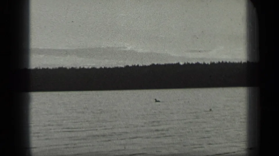 Long Lake home-movie frame showing calm water, distant forested shoreline, cloudy sky, and a small loon near the lower center.