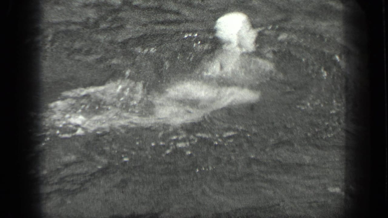 Swimmer in a white cap turns in the water with one arm forward.