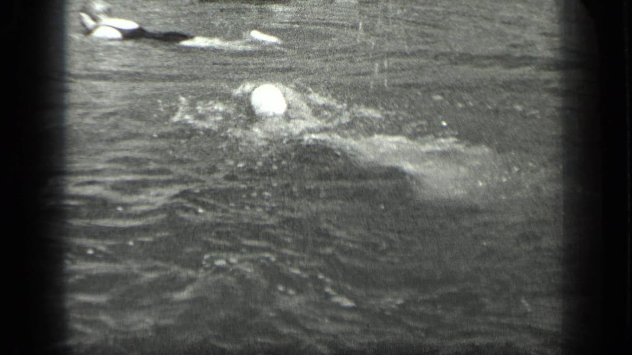 Capped swimmer gliding across rippled lake water.