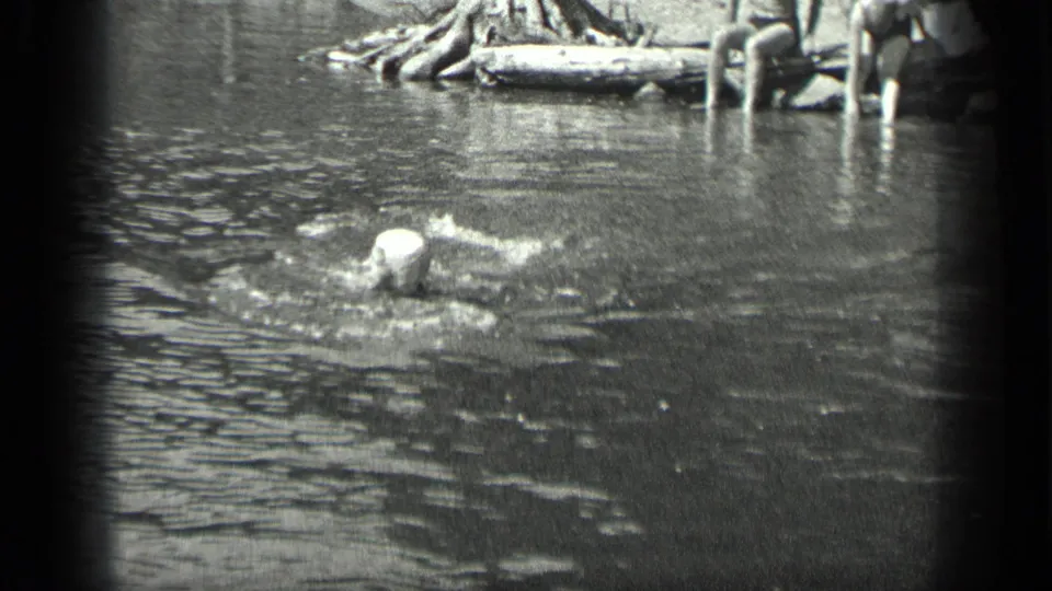 Capped swimmer in Long Lake with a wooden dock or float and partial shoreline figures behind her.