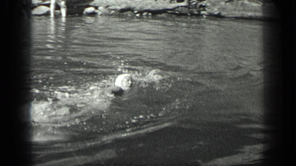 A swimmer in a light cap creates splashes while moving through the Long Lake water in the 1939 home movie.