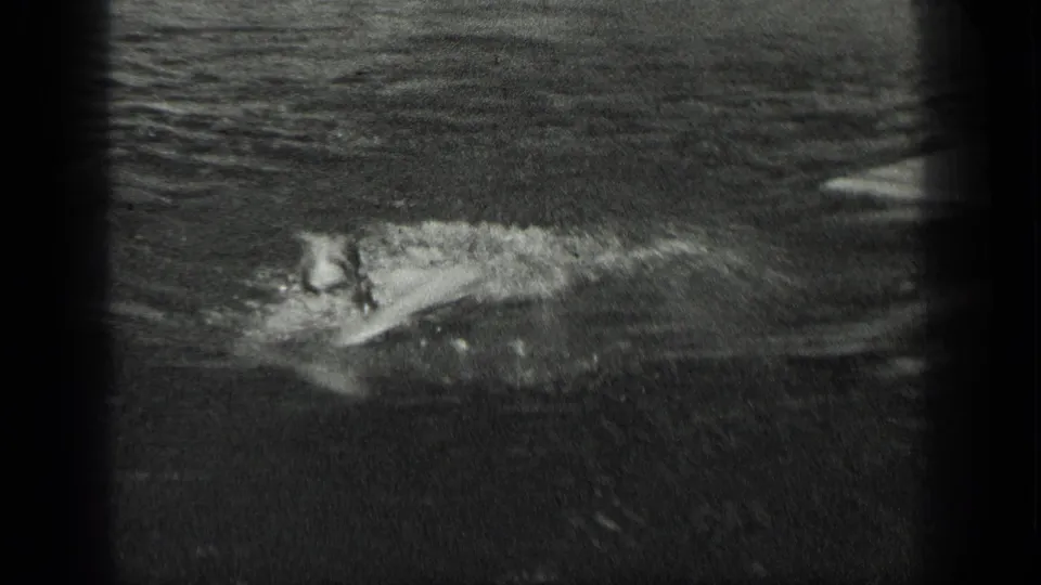 A swimmer crosses the lake surface in a grainy 1939 home-movie frame, with the shore and standing figures partly visible.