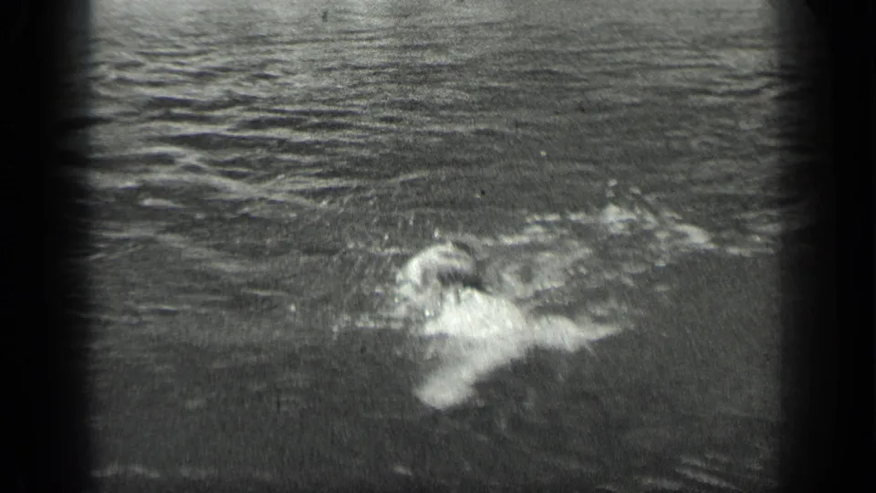 Long Lake, Canada home-movie frame showing a swimmer surrounded by rippled water in soft black-and-white focus.