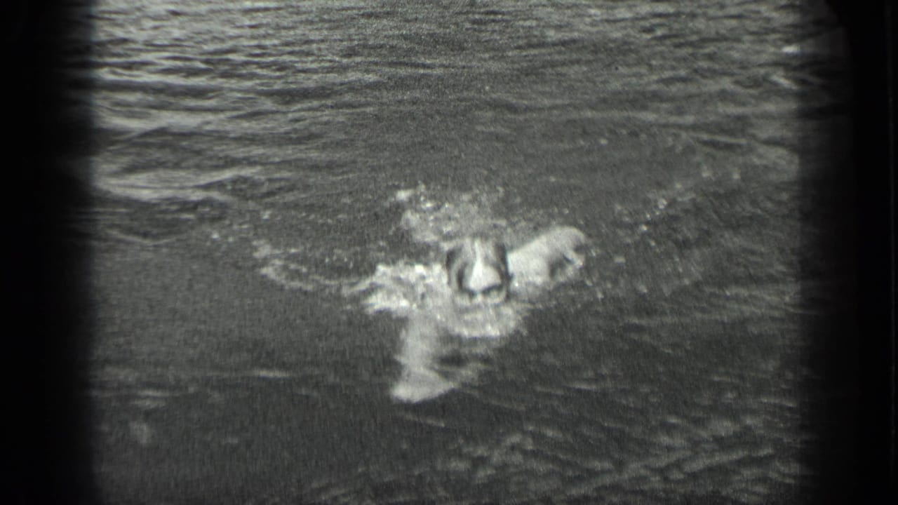 In 1939 Long Lake home-movie footage, a woman swims toward the camera through calm water with soft ripples and splashes.