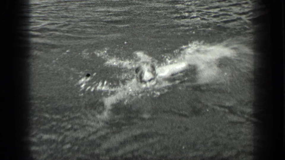 The swimmer moves across the Long Lake frame, one arm outstretched as splashes break the otherwise calm surface.