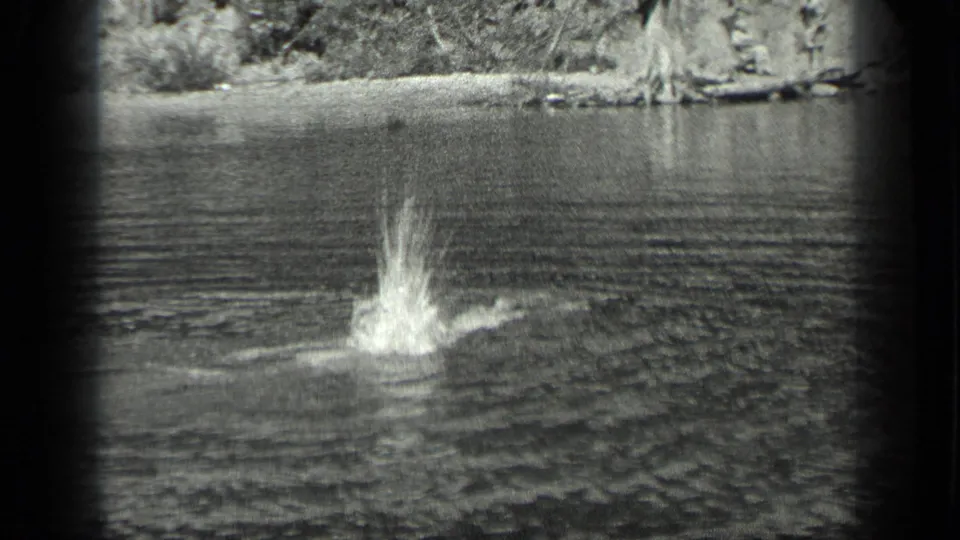 A tall splash marks the swimmer’s movement in open Long Lake water, with a wooded shoreline beyond.