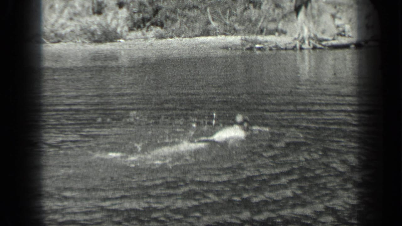 In 1939 Long Lake, Canada footage, a swimmer's head and arms break the lake surface near a tree-lined shore.