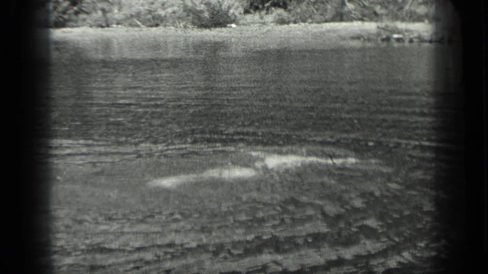 A distant swimmer passes low through the water at Long Lake, Canada, with the shoreline faintly visible behind.