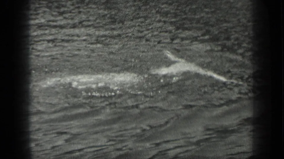 A closer 1939 Long Lake frame shows the swimmer's head and arm at the surface amid splashes and ripples.