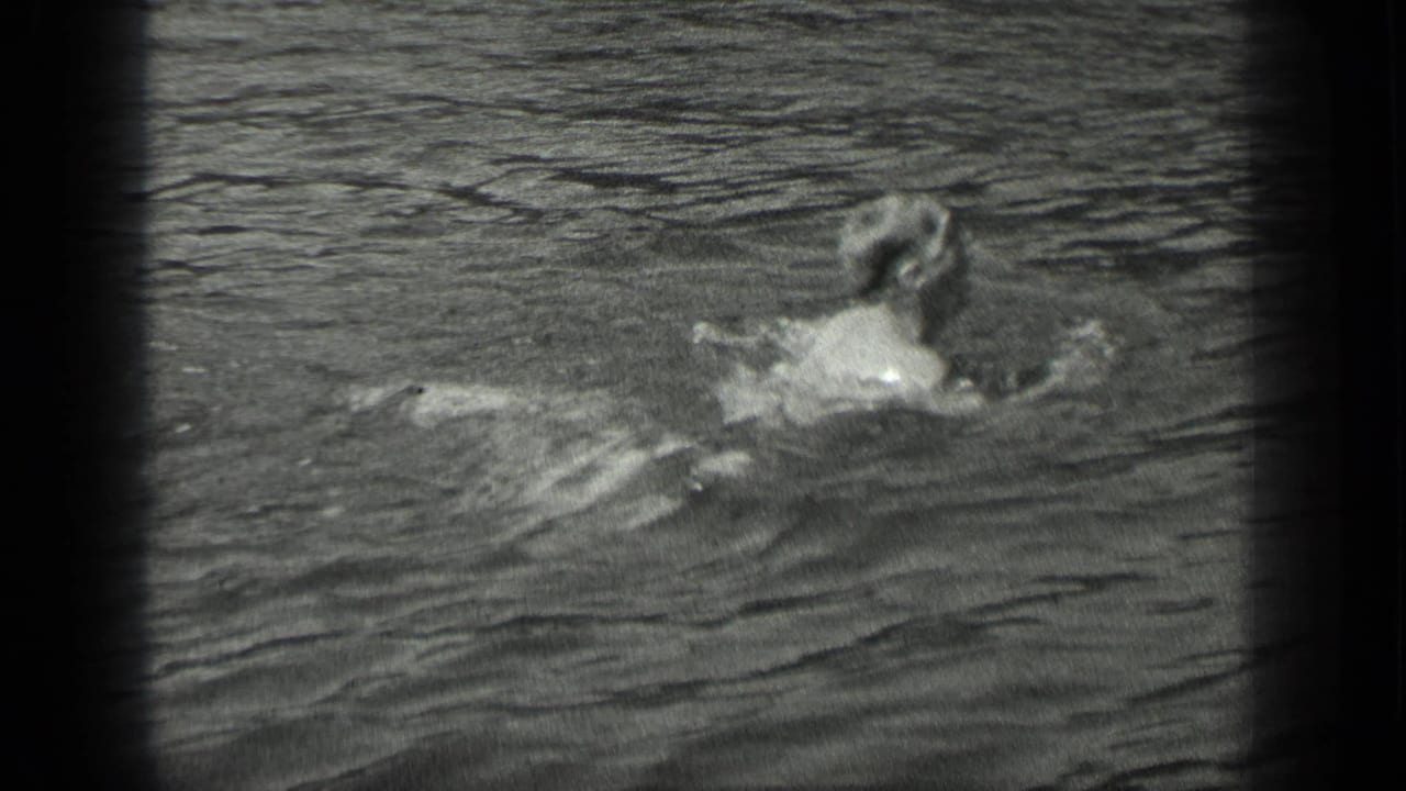 The swimmer is seen from behind in rippled lake water, framed by the soft, grainy 8mm image border.