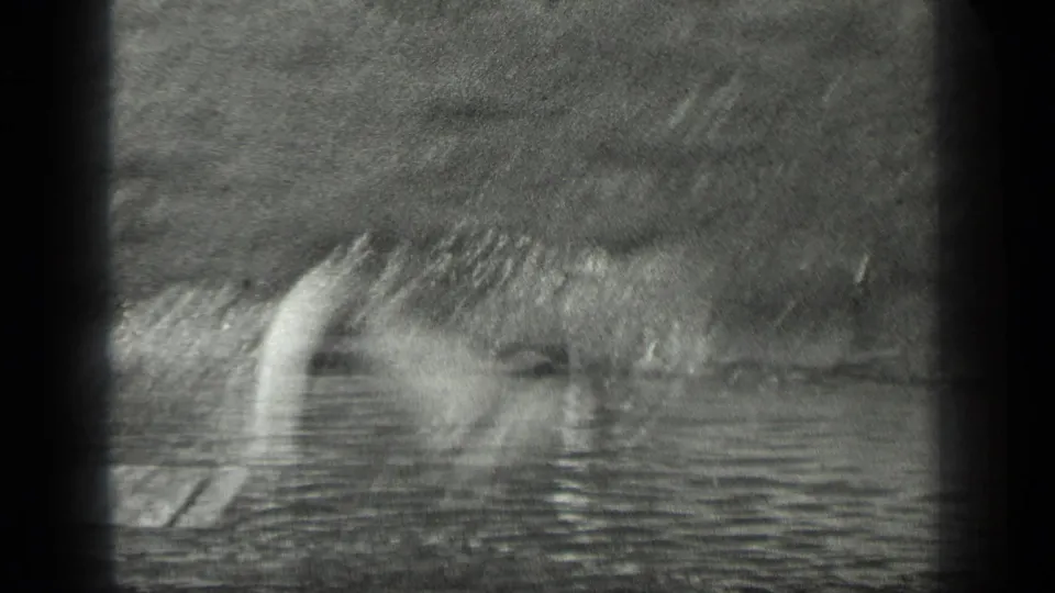 A blurred view shows the swimmer splashing near what appears to be a wooden platform or dock edge at Long Lake.
