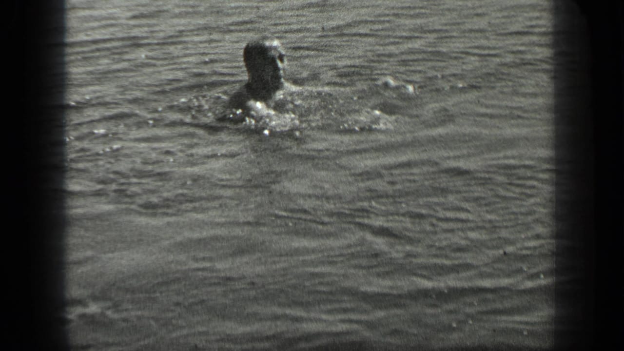 A swimmer at Long Lake, Canada, surfaces in rippling water in a grainy 1939 black-and-white 8mm frame.