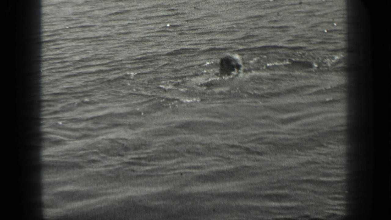 Grainy 8mm view of a swimmer low in Long Lake water, surrounded by ripples and soft surface reflections.