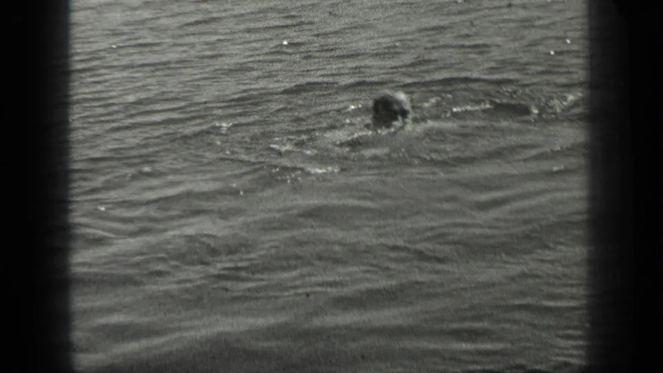 Grainy 8mm view of a swimmer low in Long Lake water, surrounded by ripples and soft surface reflections.