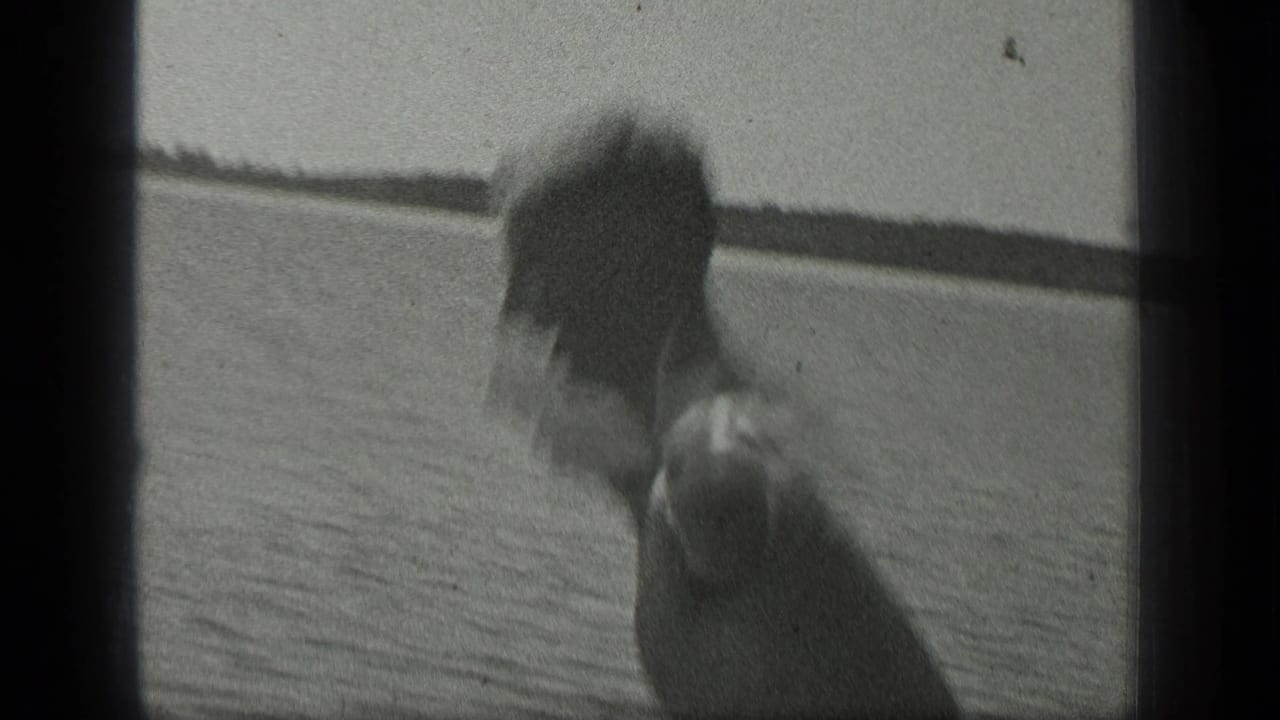 A blurred person appears close to the 8mm camera at Long Lake, Canada, with water and a low distant shoreline behind.