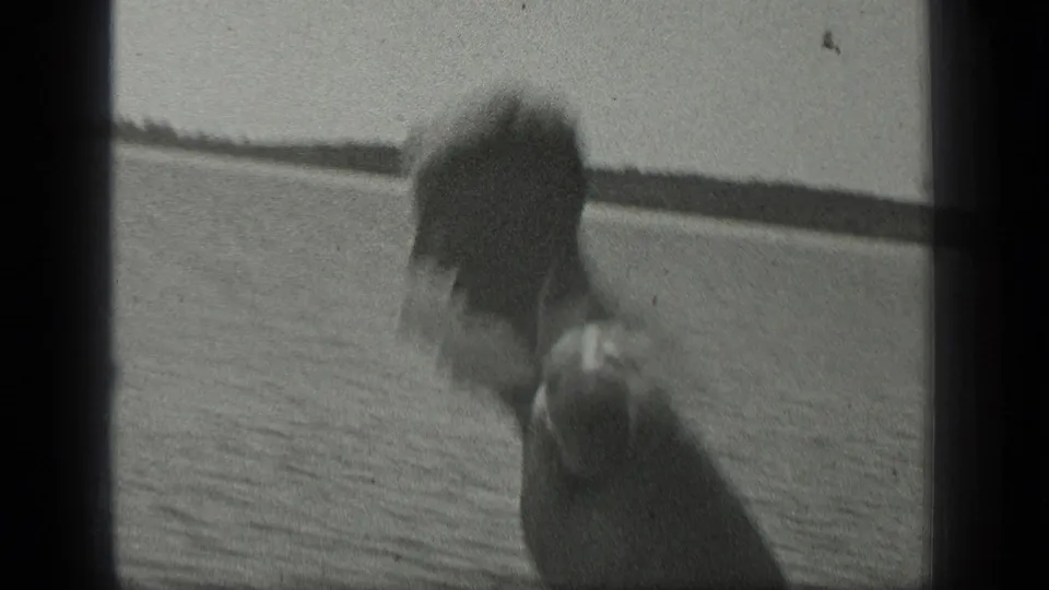 A blurred person appears close to the 8mm camera at Long Lake, Canada, with water and a low distant shoreline behind.