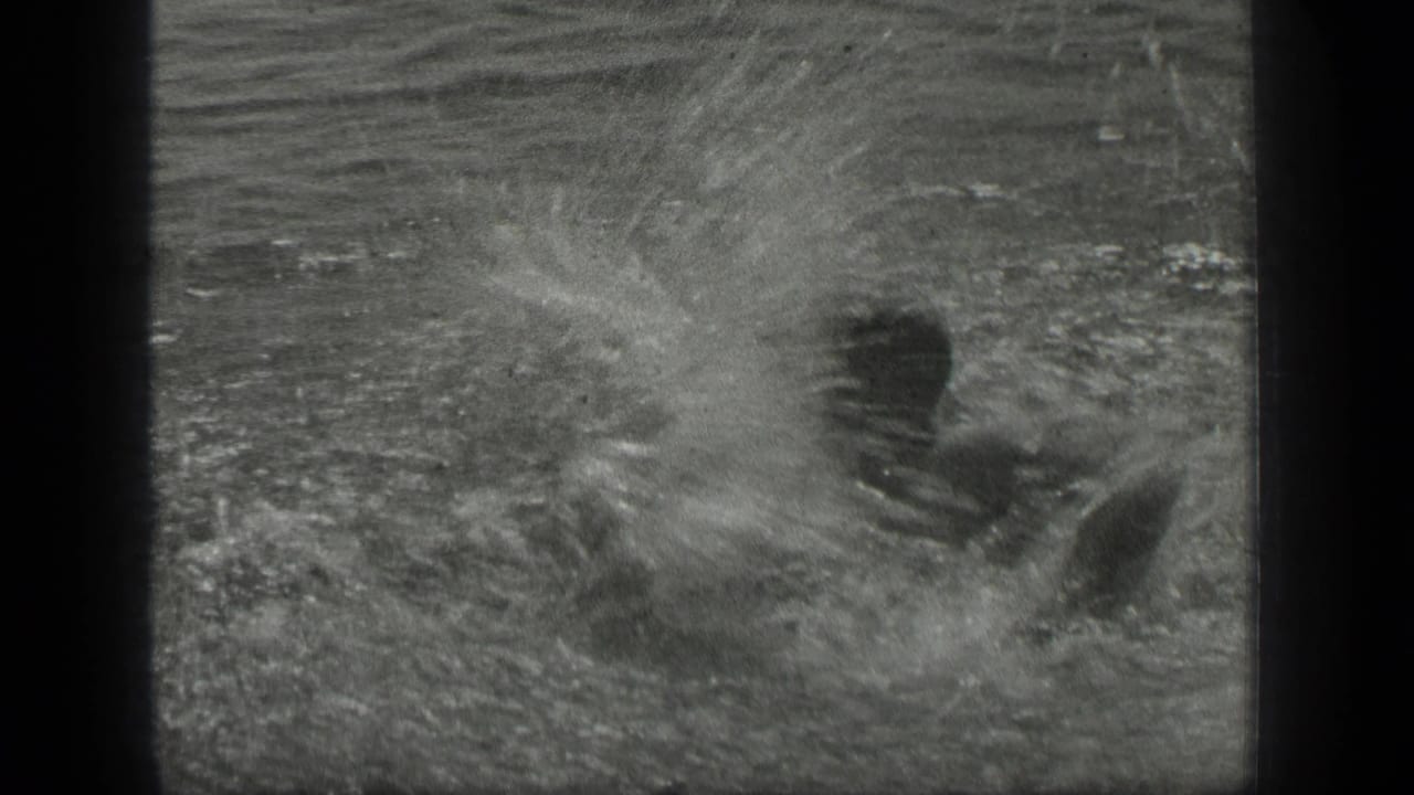A swimmer is partly obscured by spray while playing in the lake, framed by soft 8mm black-and-white borders.