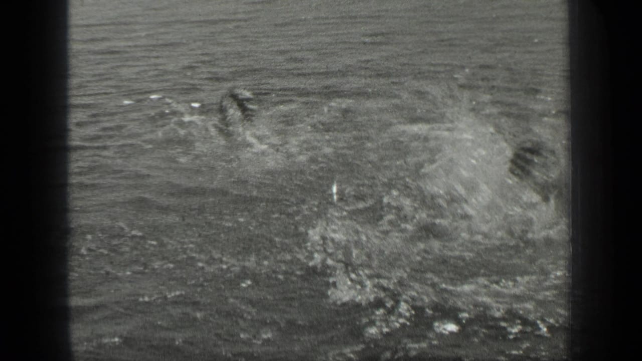 Two swimmers are partly submerged and obscured by spray in grainy black-and-white 8mm footage from the supplied Long Lake context.