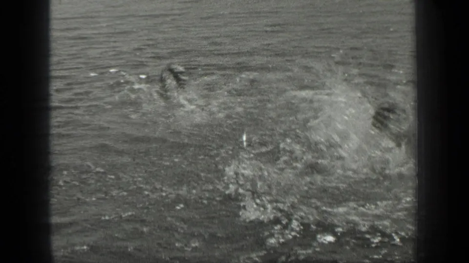 Two swimmers are partly submerged and obscured by spray in grainy black-and-white 8mm footage from the supplied Long Lake context.