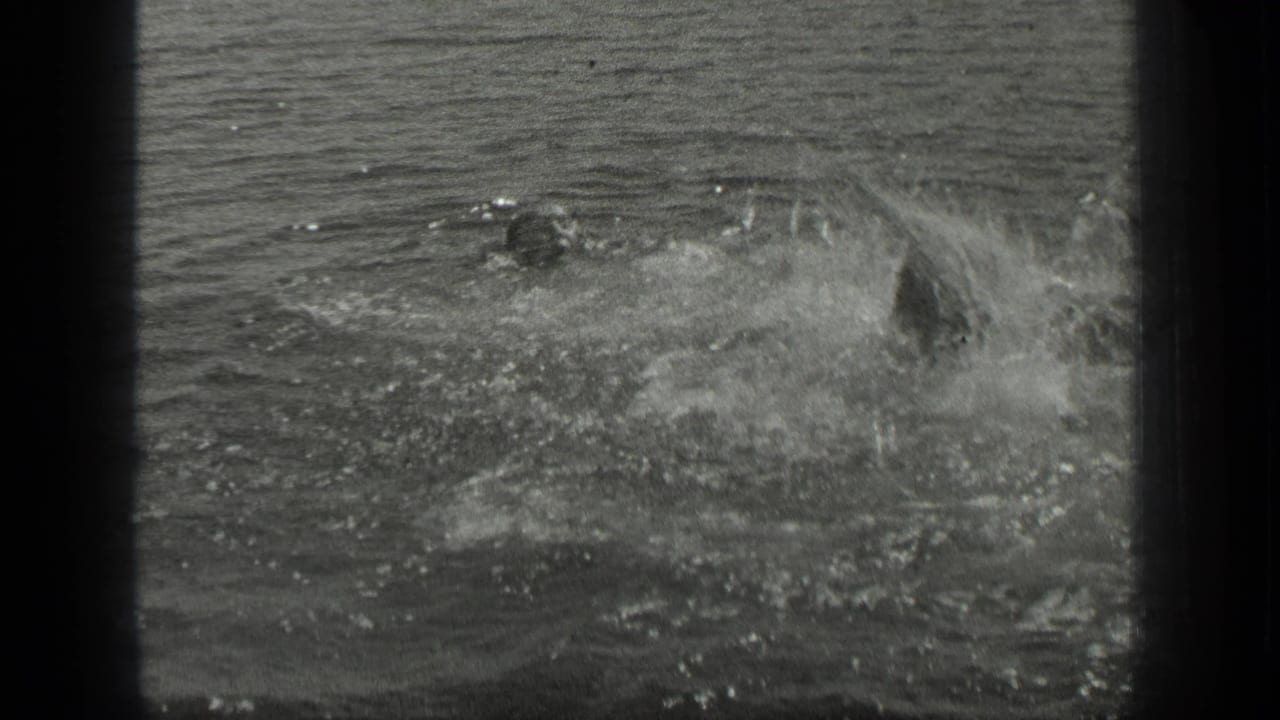 Two swimmers play in the water at Long Lake, Canada, with splashes and ripples visible in 1939 8mm footage.