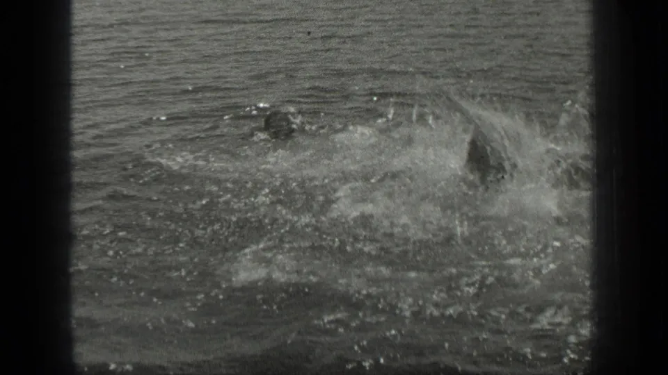 Two swimmers play in the water at Long Lake, Canada, with splashes and ripples visible in 1939 8mm footage.