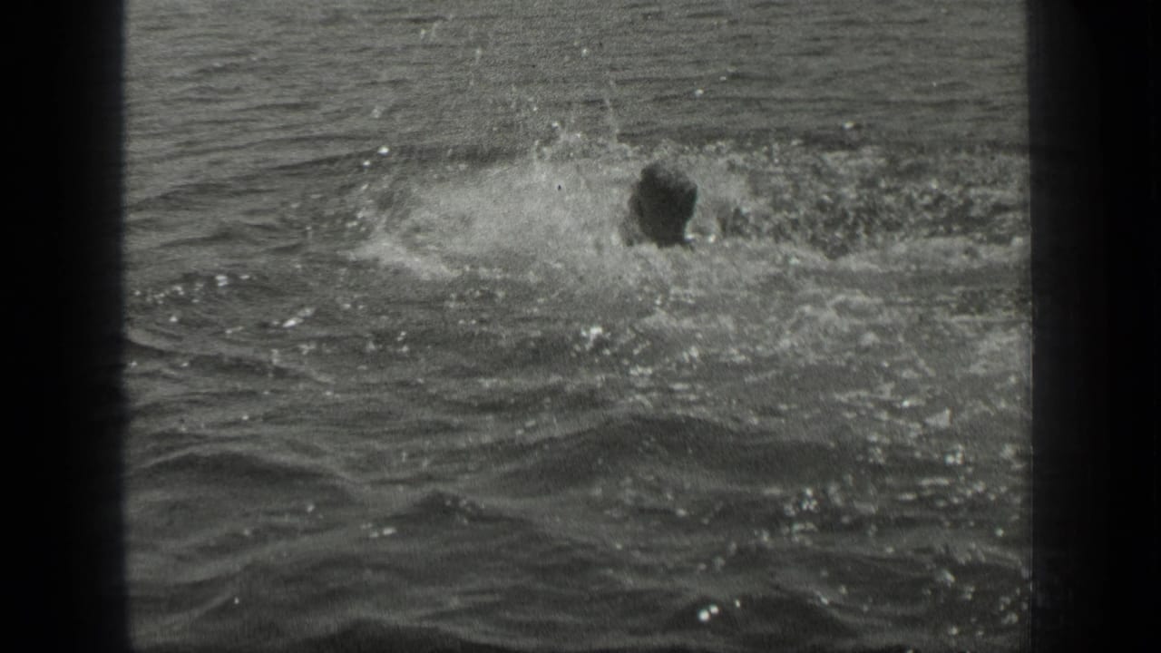 A swimmer appears near a large splash in Long Lake, Canada, while another dark head is faintly visible in the water.