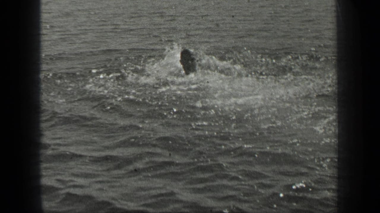 A swimmer moves through rippled Long Lake water, seen in grainy black-and-white 8mm home-movie footage.