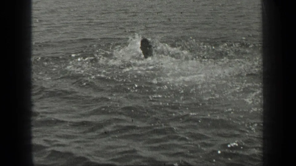 A swimmer moves through rippled Long Lake water, seen in grainy black-and-white 8mm home-movie footage.