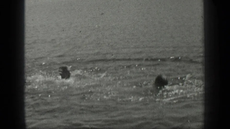 Two distant swimmers appear in Long Lake, Canada, separated by rippled water and soft 8mm film grain.