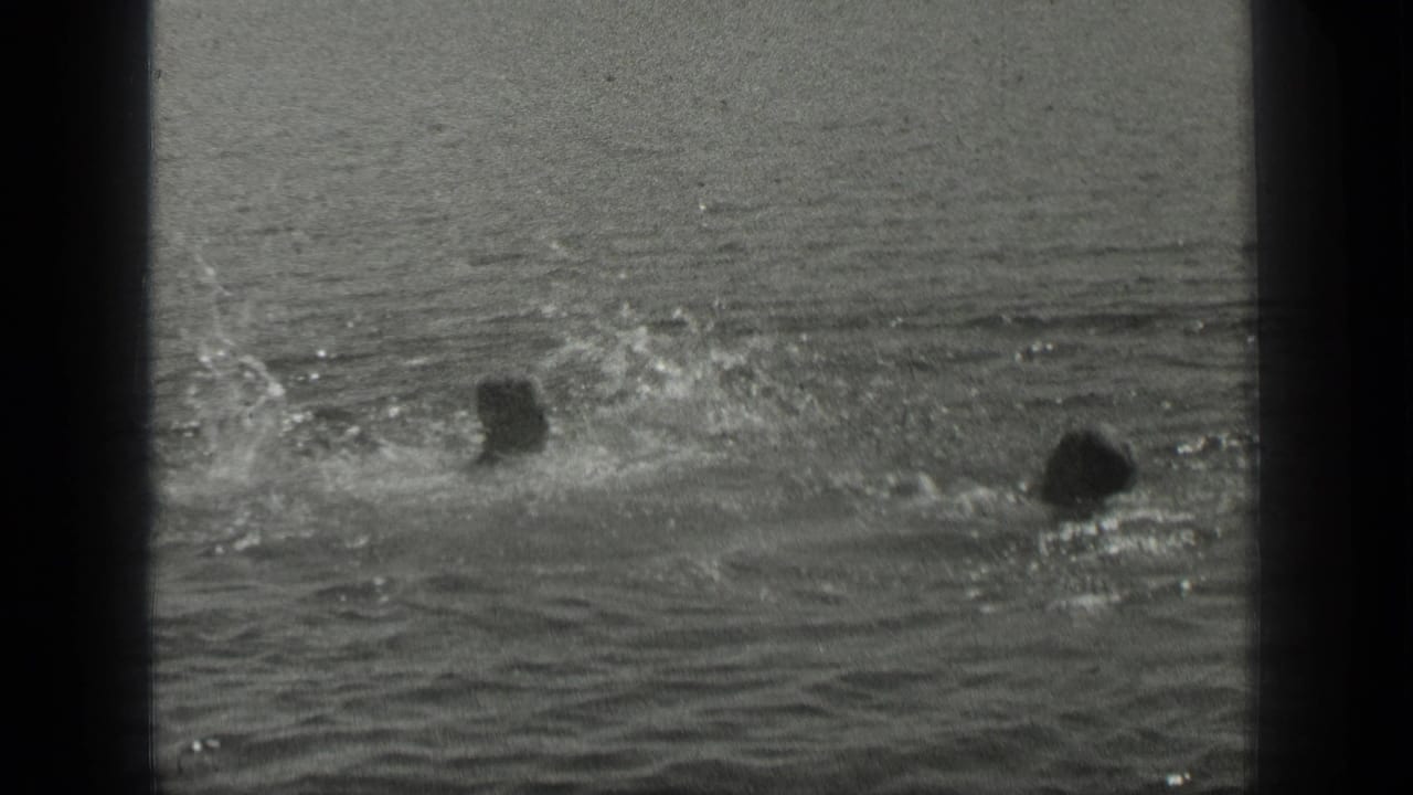 1939 Long Lake home-movie frame showing swimmers partly submerged as splashes break across the water surface.